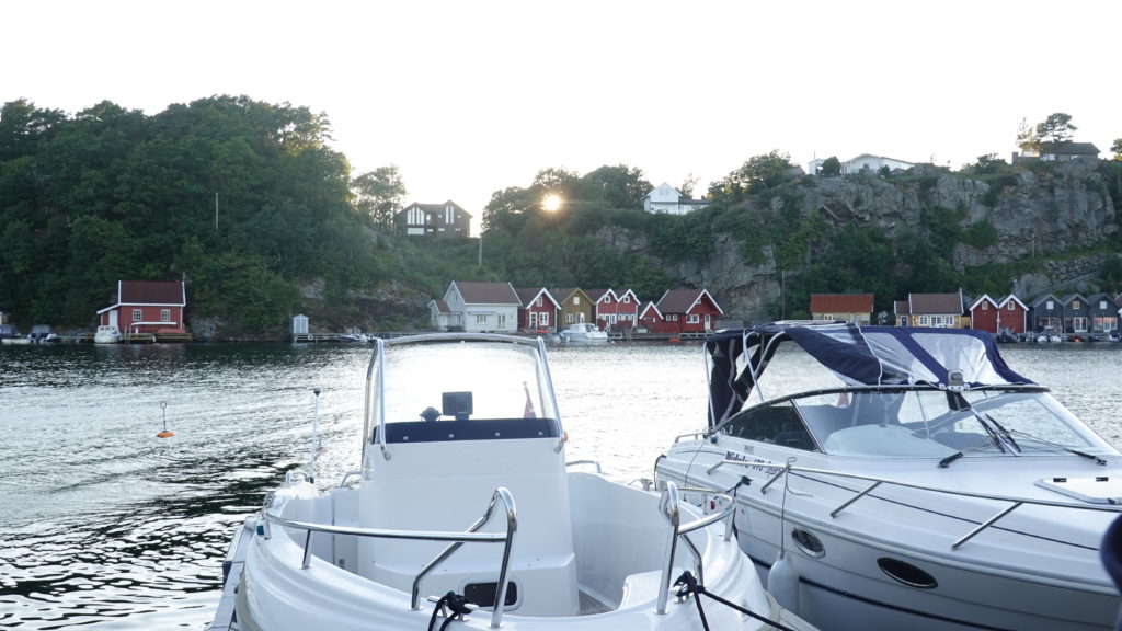 Sola gikk ned mellom trærne